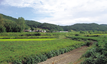 25시목동